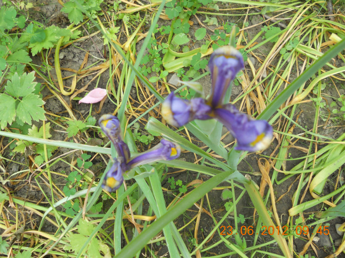 DSCN1503