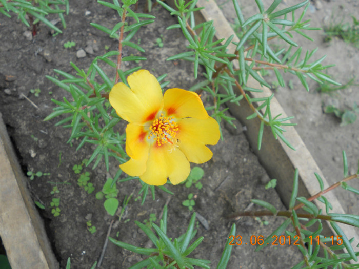 DSCN1504