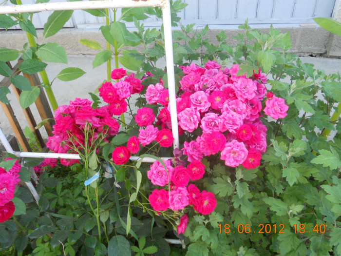 DSCN1473
