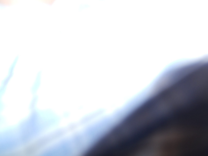 DSCN3961