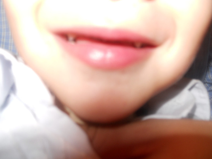 DSCN3962