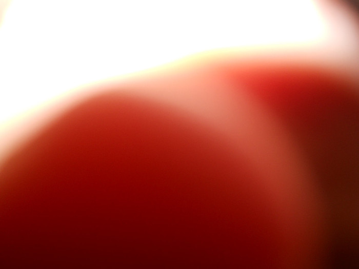 DSCN3964