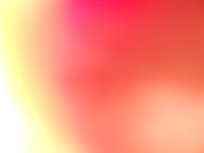 DSCN3965
