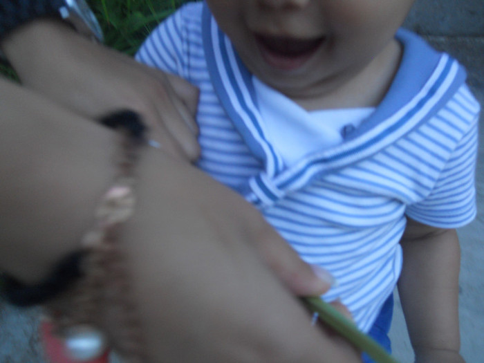 DSCN4014