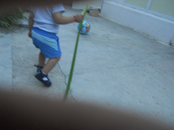 DSCN4020