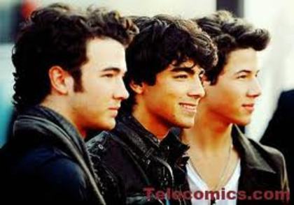 041 - Jonas Brothers