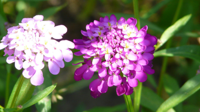 P1330494