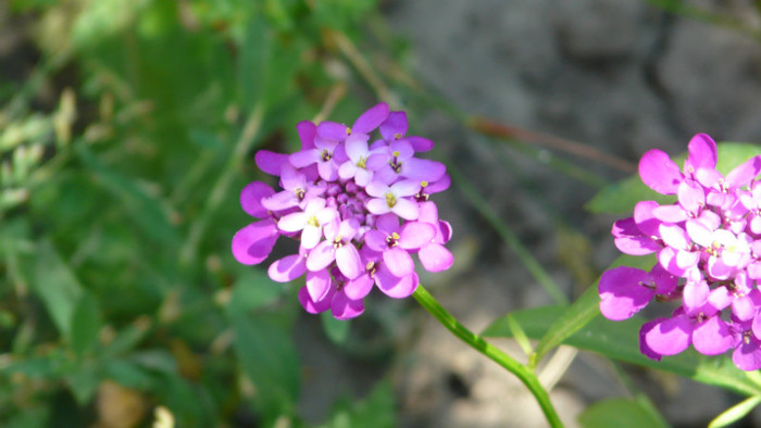 P1330496