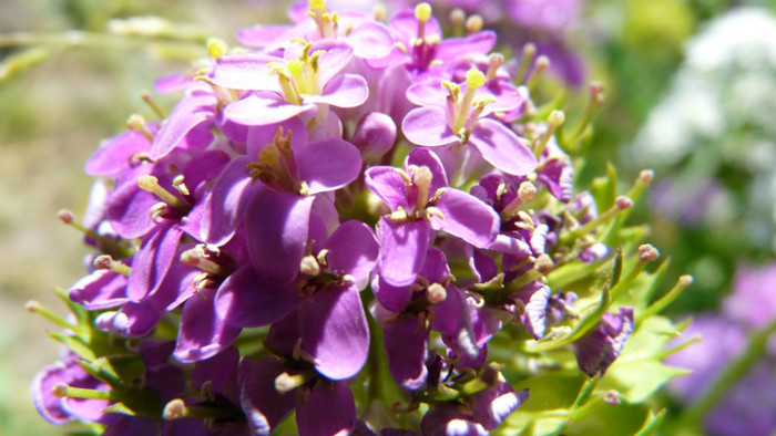 P1330523