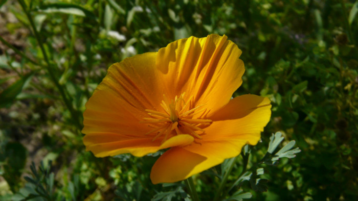 P1330536