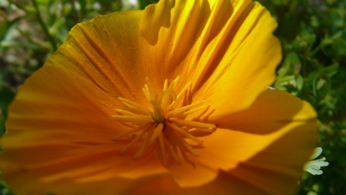 P1330539