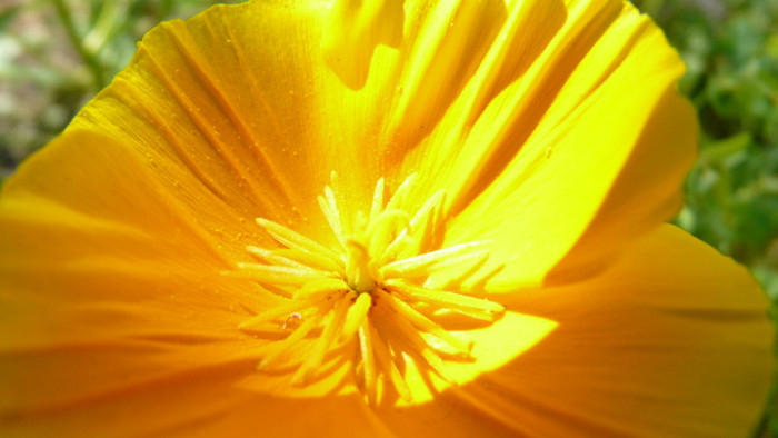 P1330540