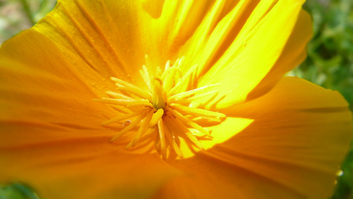 P1330541