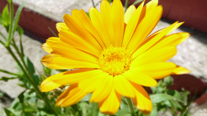 P1330581
