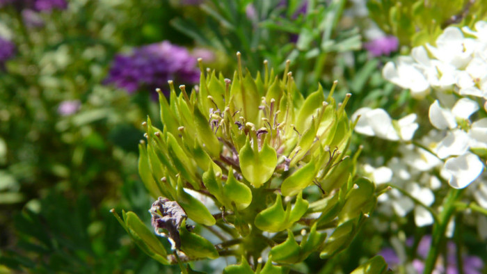 P1330589
