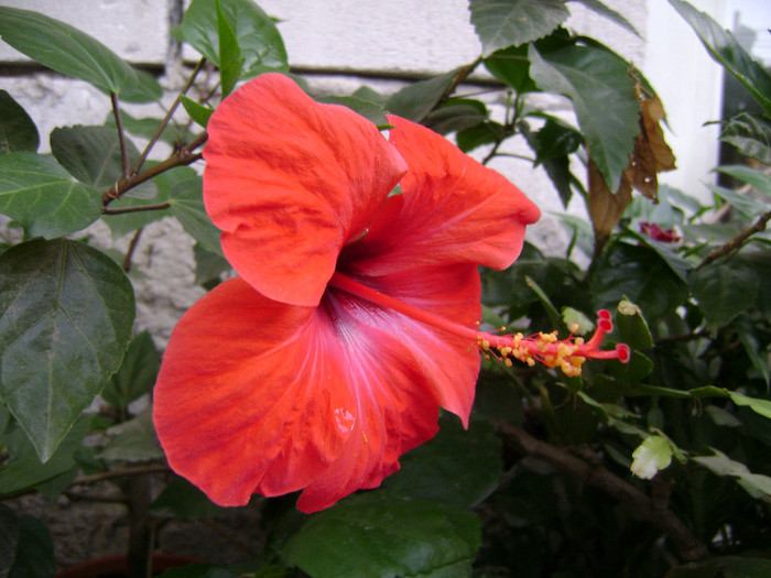 DSC08949