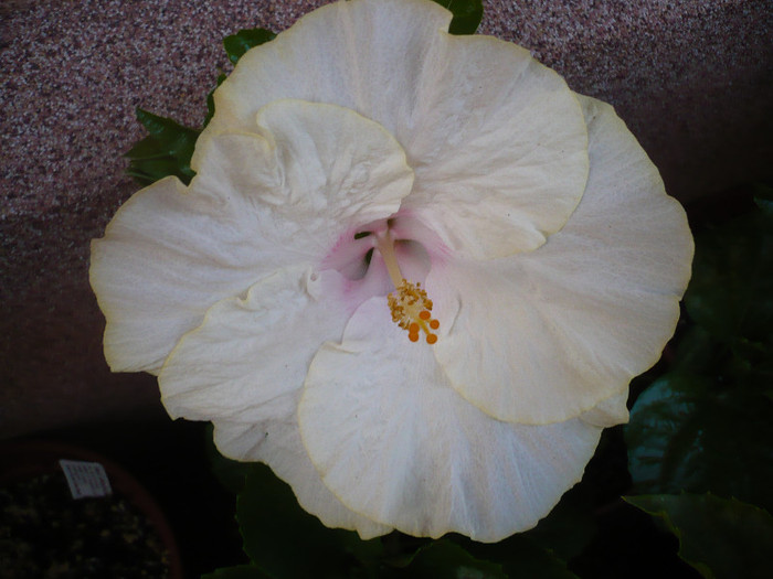 P1150021