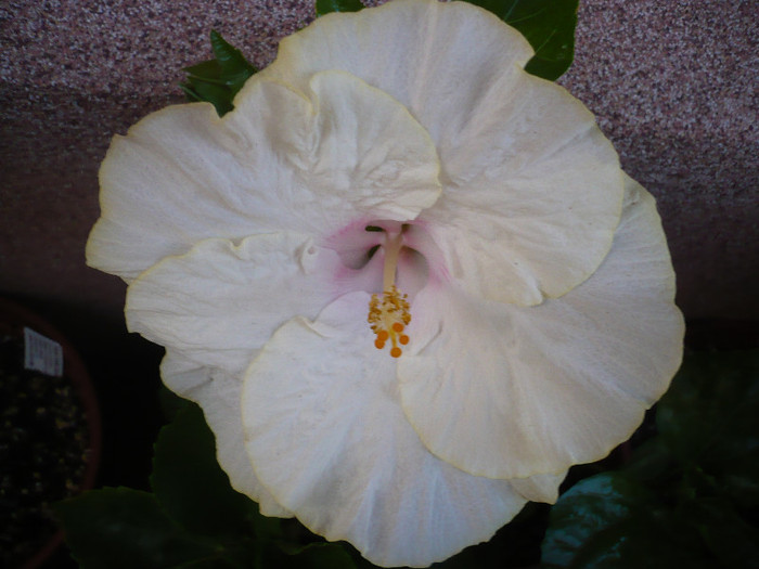 P1150022