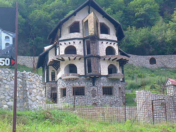 Fotografie0748 - LA ADUNAT DE OUA DE FURNICI