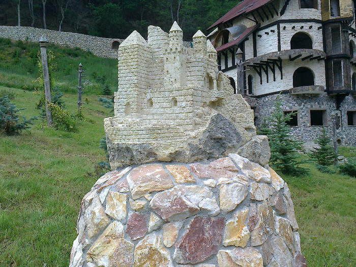 Fotografie0767 - LA ADUNAT DE OUA DE FURNICI