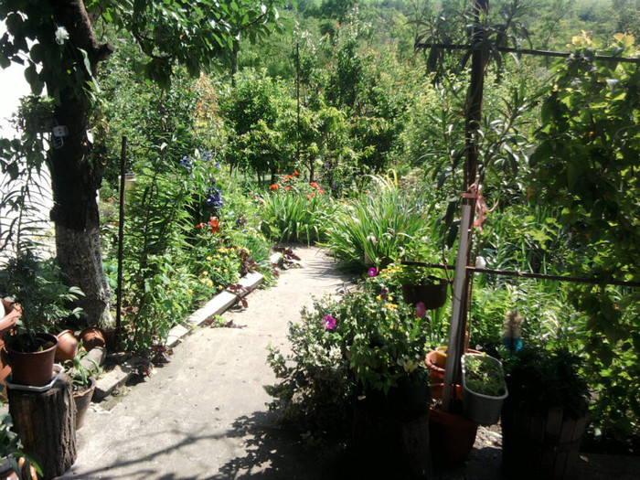Fotografii-0035