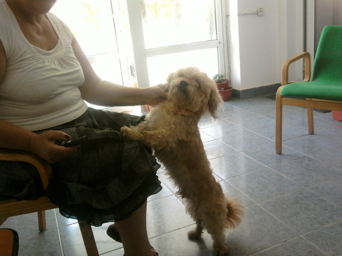 Fotografii-0040