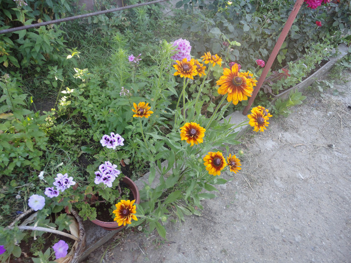 DSC05488