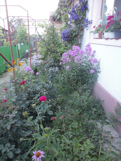 DSC05514