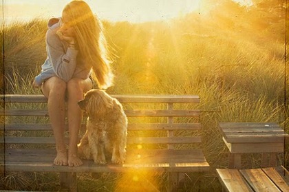 weheartit sun girl and dog - Sun  Girl  Love