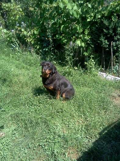 Ronna