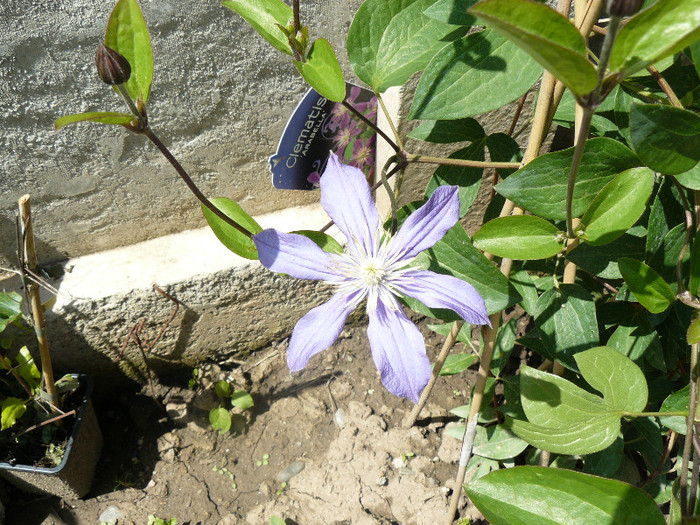 P1020806