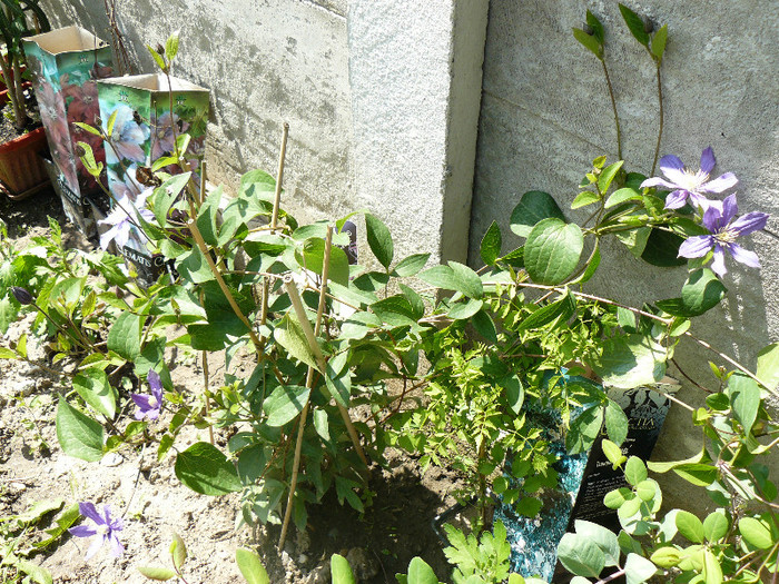 P1020808