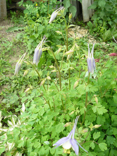 P1020792