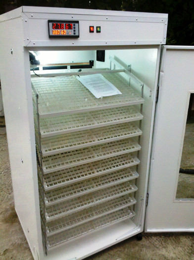 incubator 400 oua prepelita