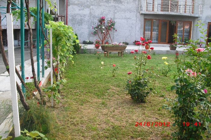 CIMG0116 - florile surorii mele oty