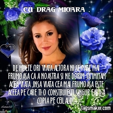  - VIATA IUBIRE SI PRIETENIE  1