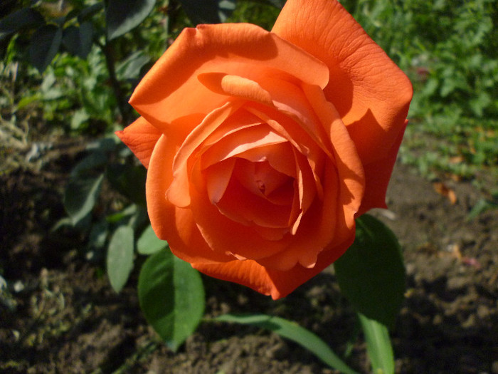 P1000857