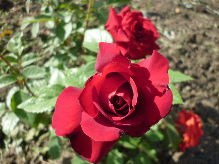 P1000858