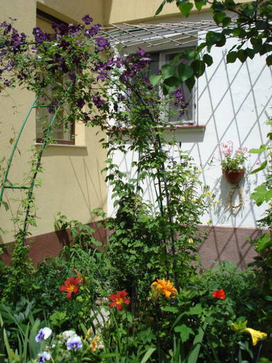 DSC05496