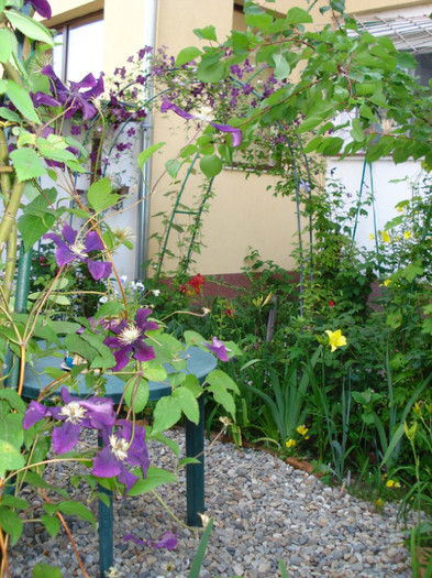 DSC05364
