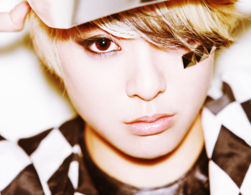 tumblr_lkbxcqwE5y1qceozoo1_500