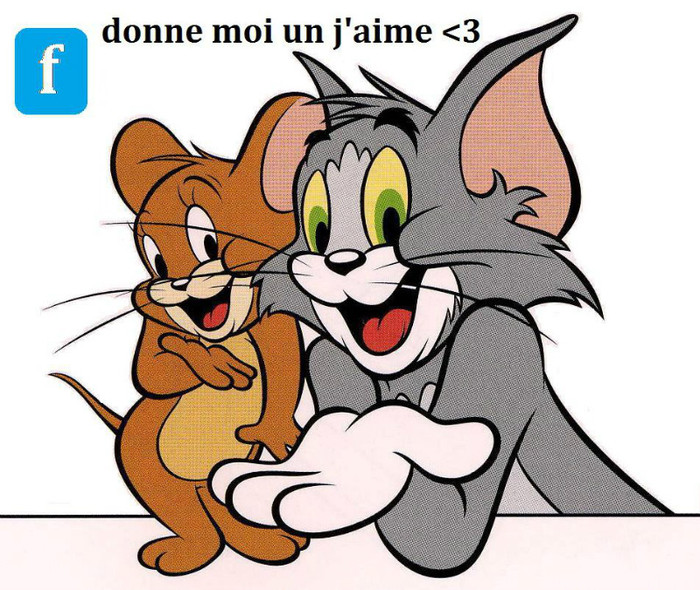 3 - Tom si Jerry