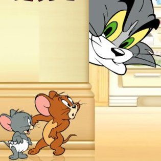 17 - Tom si Jerry