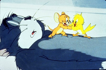 21 - Tom si Jerry