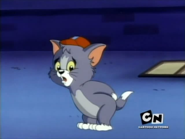 24 - Tom si Jerry
