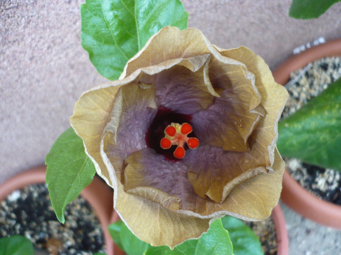 P1150078