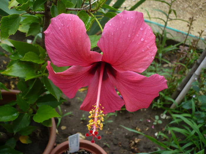 P1150116