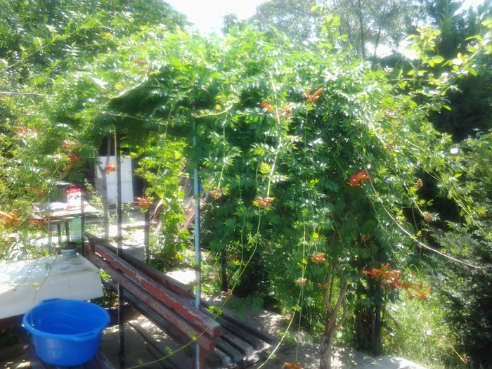 locul de baut cafeaua dimineata