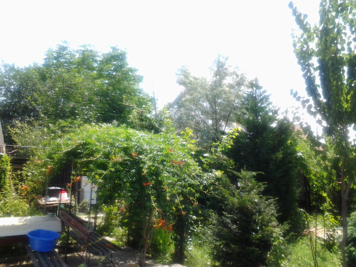 umbrar facut din trompeta ingerului