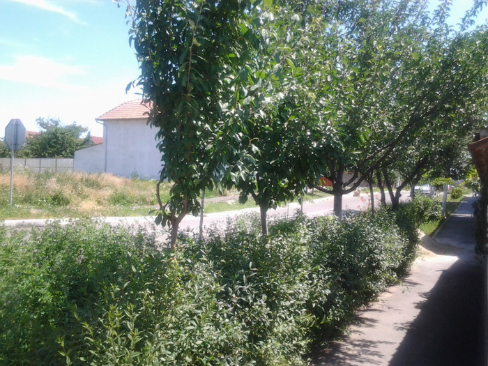 2012-06-26 12.31.22